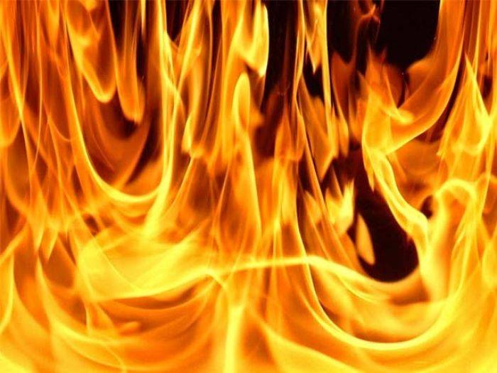 Selama Musim Kemarau di Bojonegoro,  Terjadi 61 Kebakaran