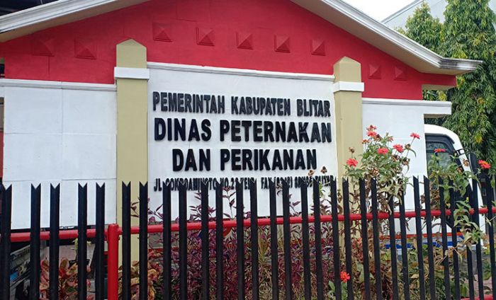 Tertular Dokter Hewan Tinggi Mobilitas, Total 6 Pegawai Disnakan Kabupaten Blitar Terpapar Corona Tertular Dokter Hewan Tinggi Mobilitas, Total 6 Pegawai Disnakan Kabupaten Blitar Terpapar Corona