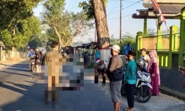 ​Terlibat Kecelakaan, Pesepeda Tewas di Jalan Kalibrantas Kota Blitar