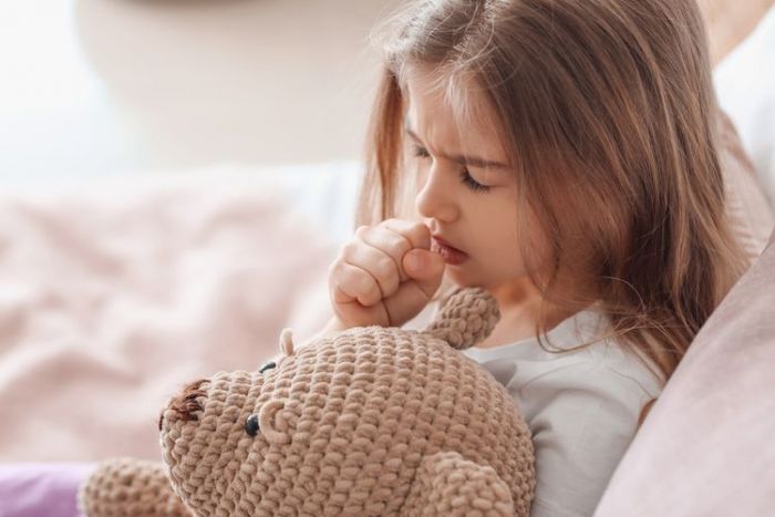 Temulawak dapat Redakan Batuk Anak, Simak Cara Membuat Ramuannya Temulawak dapat Redakan Batuk Anak, Simak Cara Membuat Ramuannya