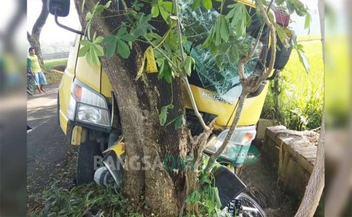 Kecelakaan di Raya Bangle Blitar, Pemotor Tewas Mengenaskan Terjepit Truk dan Pohon