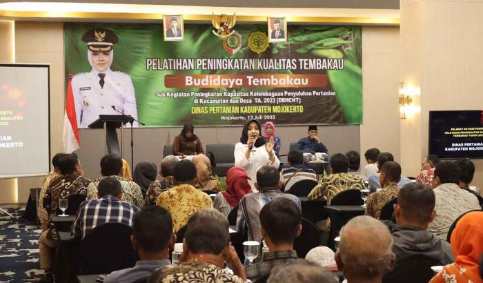 Petaninya Gagal Panen, Bupati Mojokerto Berharap Ada Tembakau Tahan Air Petaninya Gagal Panen, Bupati Mojokerto Berharap Ada Tembakau Tahan Air