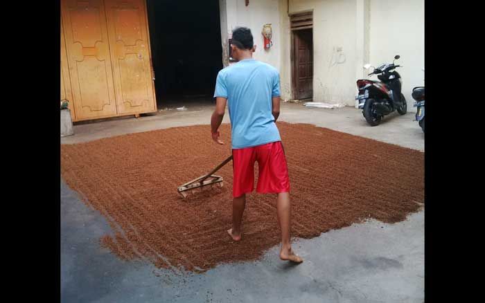 Cukai Tembakau dan UMK segera Naik, Pabrik Rokok Lintingan Bakal Kelimpungan Cukai Tembakau dan UMK segera Naik, Pabrik Rokok Lintingan Bakal Kelimpungan