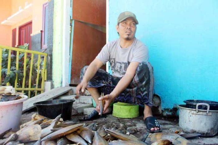 Terung Dul Hasan Bulak Tembus Pasar Asean Terung Dul Hasan Bulak Tembus Pasar Asean