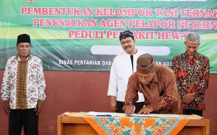 Wali Kota Pasuruan Kukuhkan Kelompok Tani Ternak dan Agen Pelapor Peternak Peduli Penyakit Hewan Wali Kota Pasuruan Kukuhkan Kelompok Tani Ternak dan Agen Pelapor Peternak Peduli Penyakit Hewan