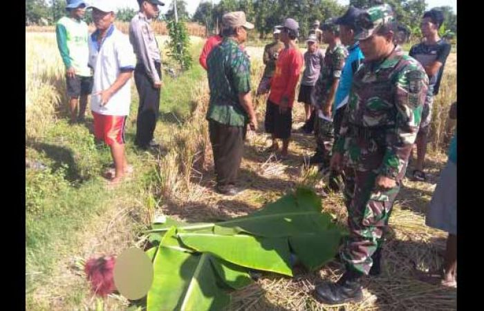 Anak Punk di Lamongan Tewas Kesetrum Jebakan Tikus Anak Punk di Lamongan Tewas Kesetrum Jebakan Tikus