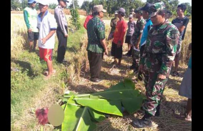 Anak Punk di Lamongan Tewas Kesetrum Jebakan Tikus