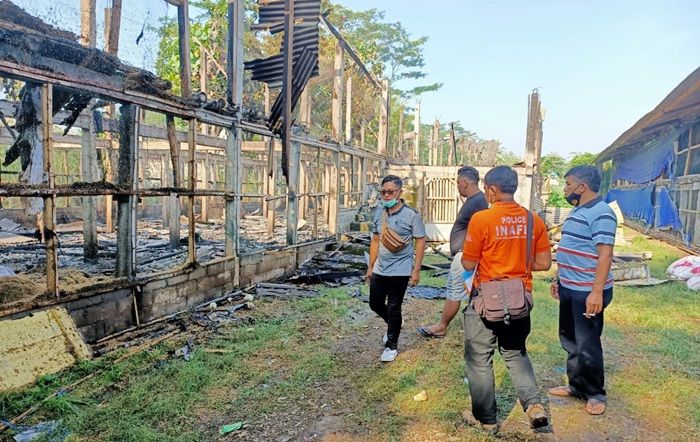 Kandang Anakan Ayam Petelur di Blitar Ludes Terbakar, Pemilik Rugi Ratusan Juta Rupiah