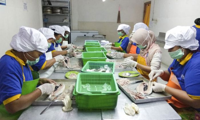 Terus Berinovasi, Kunci Bandeng Mentari Binaan SIG Bertahan di Tengah Pandemi