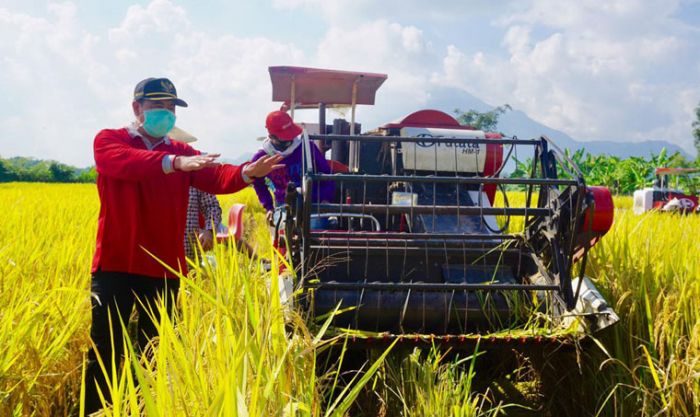 Pemkab Mojokerto Bakal Beli Beras Petani untuk Disalurkan ke Warga Terdampak Covid-19 Pemkab Mojokerto Bakal Beli Beras Petani untuk Disalurkan ke Warga Terdampak Covid-19