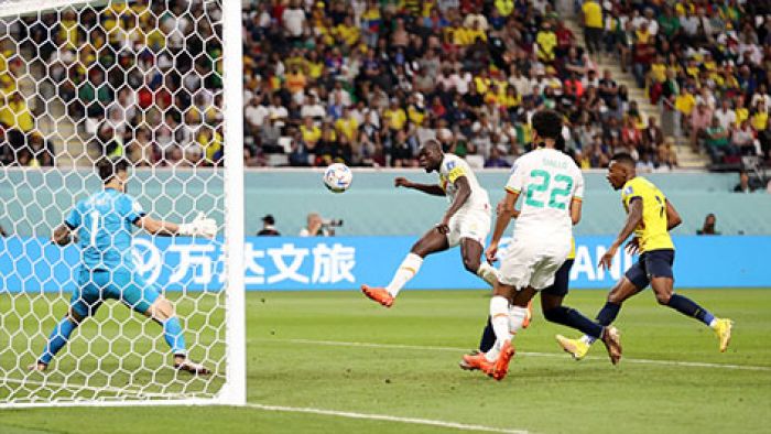 Hasil Piala Dunia 2022: Terkam Ekuador, Singa dari Teranga Susul Die Oranje ke 16 Besar Hasil Piala Dunia 2022: Terkam Ekuador, Singa dari Teranga Susul Die Oranje ke 16 Besar
