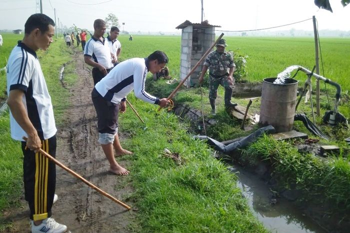 Basmi Hama Pengerat, TNI-Polri di Ngawi 