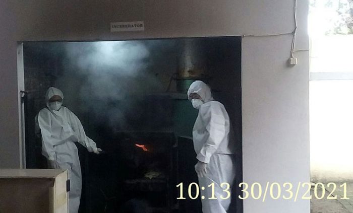 Karantina Pertanian Surabaya Musnahkan Ratusan Burung Asal Ende Karantina Pertanian Surabaya Musnahkan Ratusan Burung Asal Ende