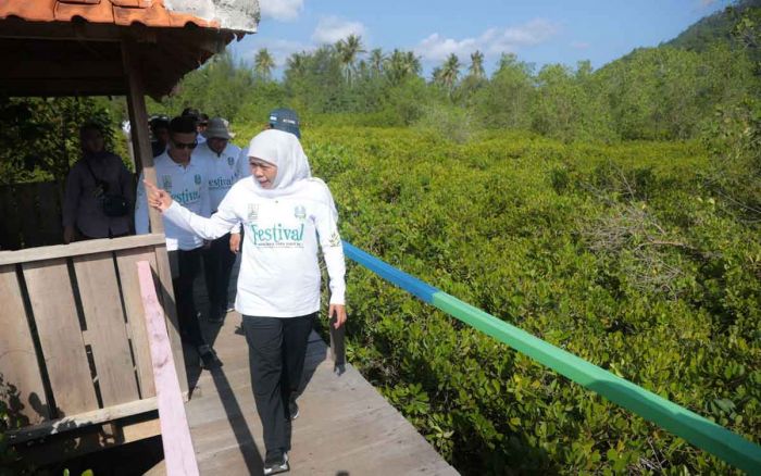 Gubernur Khofifah Gelar Festival Mangrove ke-4 di Pancer Cengkrong Trenggalek Gubernur Khofifah Gelar Festival Mangrove ke-4 di Pancer Cengkrong Trenggalek