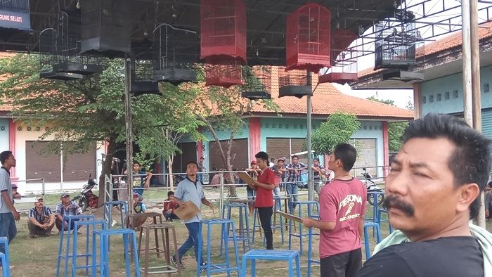 ​Hampir Seribu Penggemar Hadiri Latber Spesial Kicau Mania Mojokerto