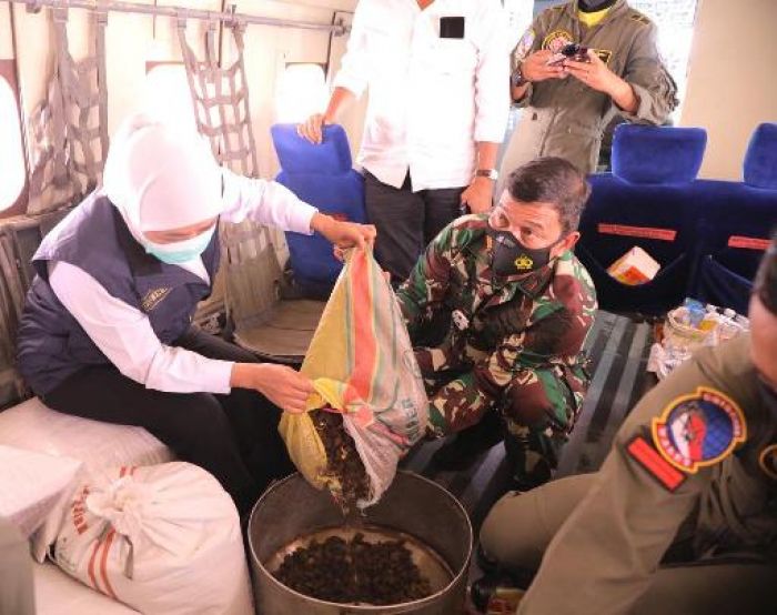Revegetasi Lingkungan, Khofifah Tebar 3,5 Ton Benih Tanaman Lewat Aeroseeding di Udara Revegetasi Lingkungan, Khofifah Tebar 3,5 Ton Benih Tanaman Lewat Aeroseeding di Udara