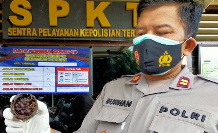 Tergiur Harga Tinggi Karena Banyak Peminat, Pria di Blitar Nekat Curi Sarang Madu Klanceng Tergiur Harga Tinggi Karena Banyak Peminat, Pria di Blitar Nekat Curi Sarang Madu Klanceng