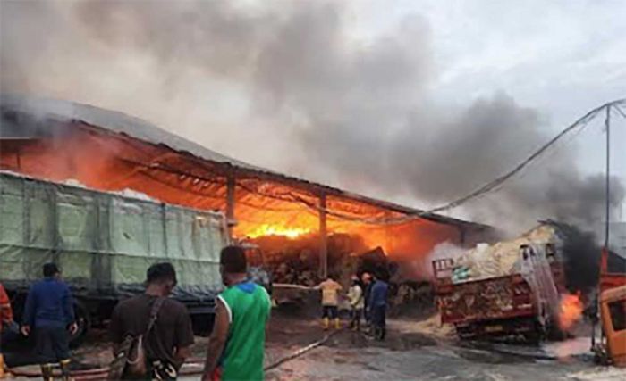 Gudang Bekatul di Taman Sidoarjo Terbakar Hebat, Dua Truk dan Satu Forklift Ikut Ludes Gudang Bekatul di Taman Sidoarjo Terbakar Hebat, Dua Truk dan Satu Forklift Ikut Ludes