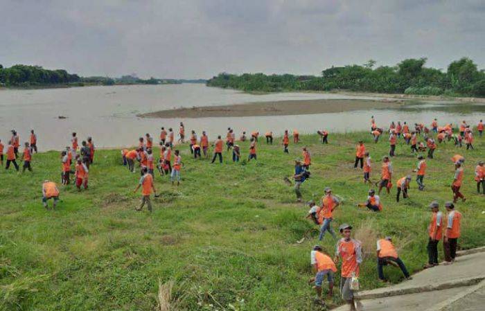 Minimalisir Risiko Banjir, 1000 Relawan dan Warga di Tuban Bersihkan Sungai