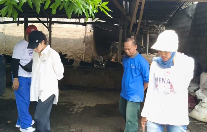 Paslon Fren Lanjutkan Blusukan ke Sentra Ikan Cupang Kelurahan Ketami Paslon Fren Lanjutkan Blusukan ke Sentra Ikan Cupang Kelurahan Ketami