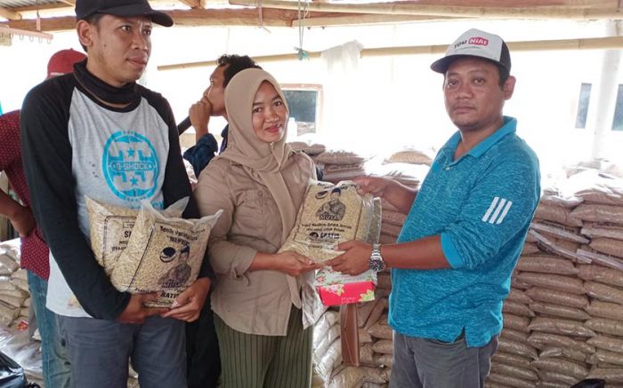 Peringati HUT Nasdem ke-9, Musa Bagikan Benih Padi untuk 1.000 Petani di Bawean