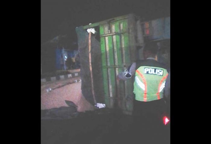 Truk Pakan Ternak Terguling di Jalan Raya Jenggolo Truk Pakan Ternak Terguling di Jalan Raya Jenggolo