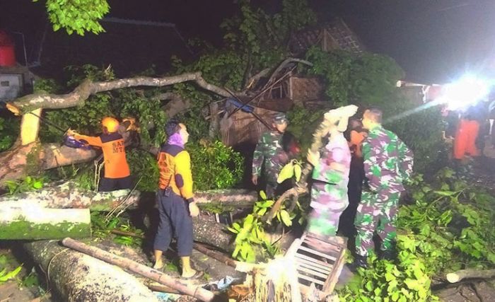 Anggota Koramil 0805/02 Paron Bersama Warga Bersihkan Rumah Rusak Akibat Tertimpa Pohon Anggota Koramil 0805/02 Paron Bersama Warga Bersihkan Rumah Rusak Akibat Tertimpa Pohon