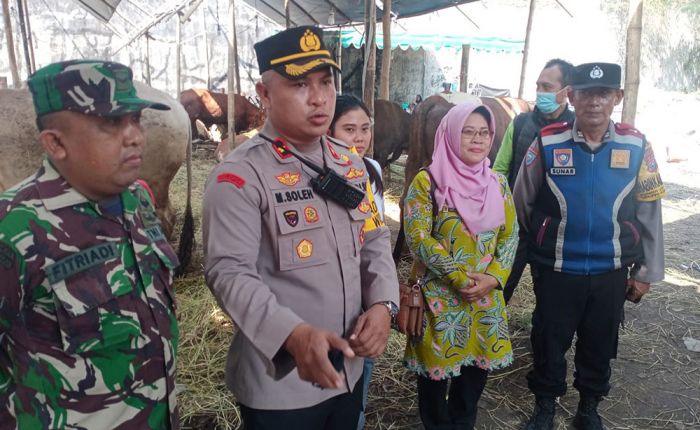 Polsek Sukolilo Antisipasi PMK di Lapak Hewan Kurban Berkapasitas Besar Polsek Sukolilo Antisipasi PMK di Lapak Hewan Kurban Berkapasitas Besar