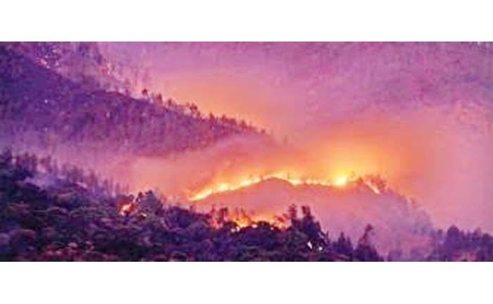 Si Jago Merah Kembali Melalap Hutan Sekitar Gunung Arjuno Pasuruan Si Jago Merah Kembali Melalap Hutan Sekitar Gunung Arjuno Pasuruan