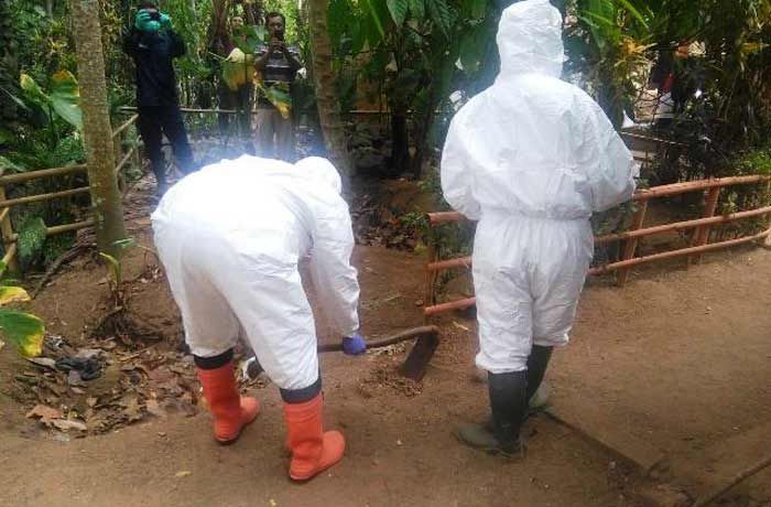 Dirjen PKH Turun Tangan Pastikan Dugaan Serangan Antraks kepada Manusia di Pacitan Dirjen PKH Turun Tangan Pastikan Dugaan Serangan Antraks kepada Manusia di Pacitan