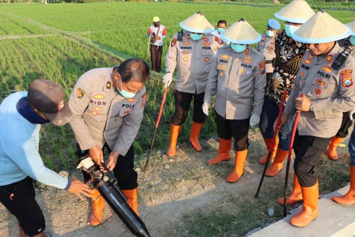 Jaga Ketahanan Pangan, Kapolres Ngawi bersama Warga Gelar Gropyokan Tikus