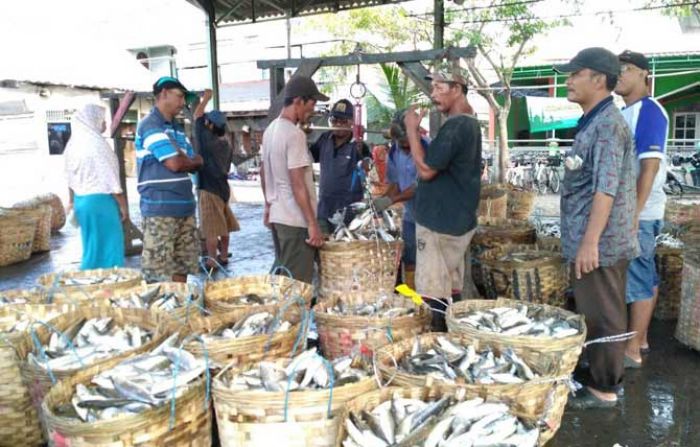 Jelang Lebaran, Permintaan Ikan di TPI Gresik Meningkat
