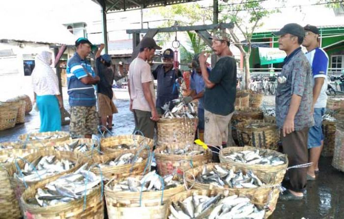 Jelang Lebaran, Permintaan Ikan di TPI Gresik Meningkat Jelang Lebaran, Permintaan Ikan di TPI Gresik Meningkat