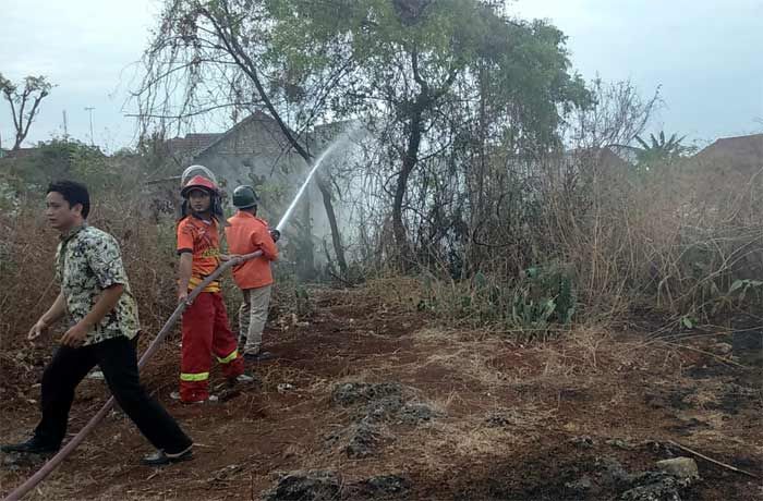 Diduga Gara-gara Puntung Rokok, Pekarangan Dekat Gudang LPG di Gedungombo Terbakar