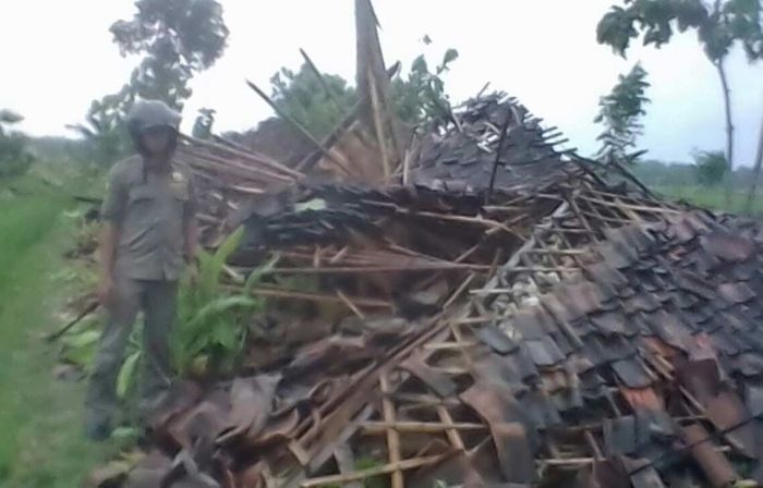 Empat Rumah di Bojonegoro Roboh Diterjang Angin Puting Beliung