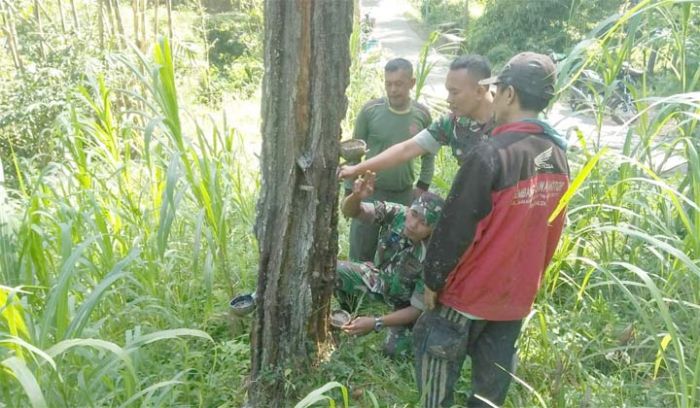 Rabat Jalan TMMD, Permudah Masyarakat Angkut Getah Pinus Rabat Jalan TMMD, Permudah Masyarakat Angkut Getah Pinus