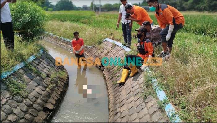 Bayi Perempuan Ditemukan Meninggal Terapung di Saluran Air Mojowarno Jombang Bayi Perempuan Ditemukan Meninggal Terapung di Saluran Air Mojowarno Jombang
