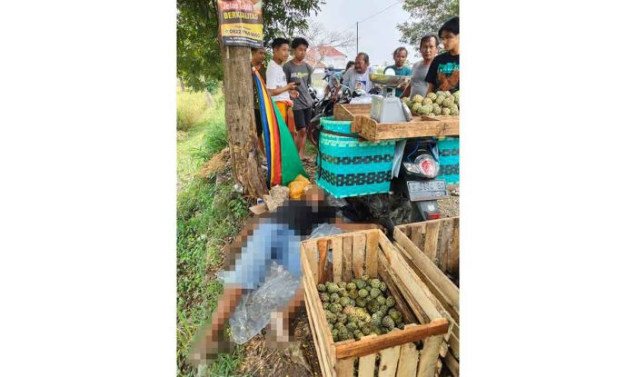 Warga Tuban Tewas saat Jual Srikaya di Gresik Warga Tuban Tewas saat Jual Srikaya di Gresik