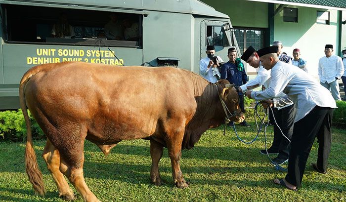 Idul Adha 1443 H, Divif 2 Kostrad Kurban 5 Sapi dan 16 Ekor Kambing Idul Adha 1443 H, Divif 2 Kostrad Kurban 5 Sapi dan 16 Ekor Kambing