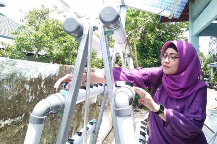 Lapindo Brantas Kembali Gelar Pelatihan Hidroponik Lapindo Brantas Kembali Gelar Pelatihan Hidroponik