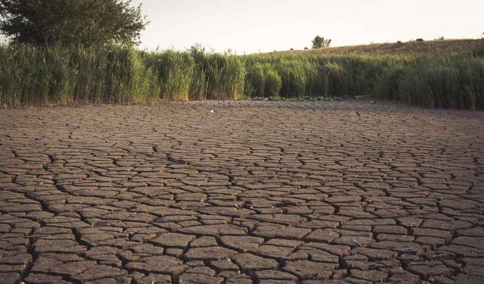 El Nino 2026 Ancam Krisis Pangan dan Kekeringan Global