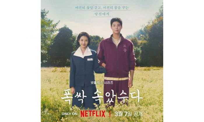IU Bertemu Park Bogum di When Life Gives You Tangerines IU Bertemu Park Bogum di When Life Gives You Tangerines