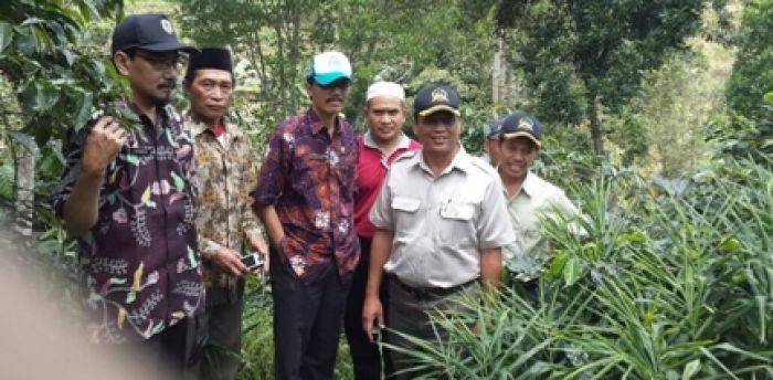 Dishutbun Bondowoso Gandeng PTPN XII Kembangkan Ekonomi Petani Kopi