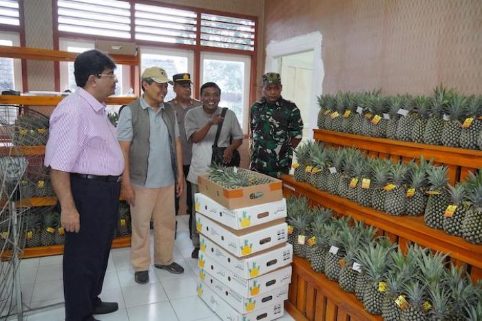 Pemkab Kediri Dampingi Petani Nanas Jaga Kontinuitas Ekspor ke Uni Emirat Arab Pemkab Kediri Dampingi Petani Nanas Jaga Kontinuitas Ekspor ke Uni Emirat Arab