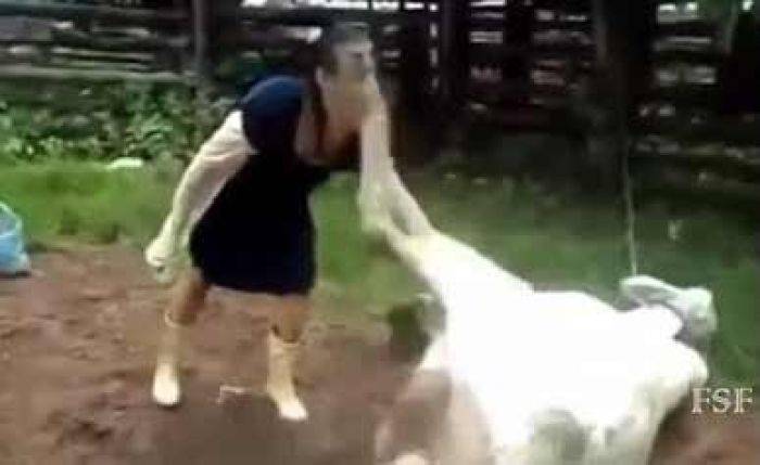 Ditendang Sapi Kurban, Warga Takeran Magetan Masuk UGD Ditendang Sapi Kurban, Warga Takeran Magetan Masuk UGD