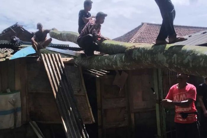 Rumah di Banyuwangi Rusak Usai Diterjang Hujan Deras dan Tertimpa Pohon Rumah di Banyuwangi Rusak Usai Diterjang Hujan Deras dan Tertimpa Pohon