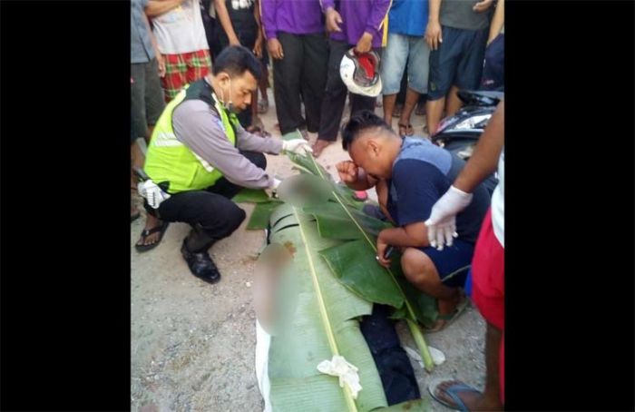 Pemotor Adu Banteng dengan Pick Up di Raya Ngrambe-Gendingan, Langsung Tewas di Tempat Pemotor Adu Banteng dengan Pick Up di Raya Ngrambe-Gendingan, Langsung Tewas di Tempat