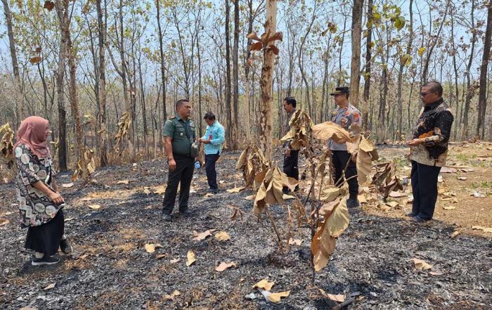 Forkopimcam Kandangan Gelar Patroli Cegah Kebakaran Hutan dan Lahan Forkopimcam Kandangan Gelar Patroli Cegah Kebakaran Hutan dan Lahan