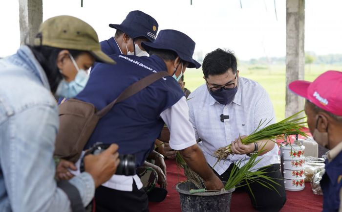 Bupati Kediri Jamin Ketersediaan Pupuk Bagi Petani, Juga Dorong Pertanian Organik