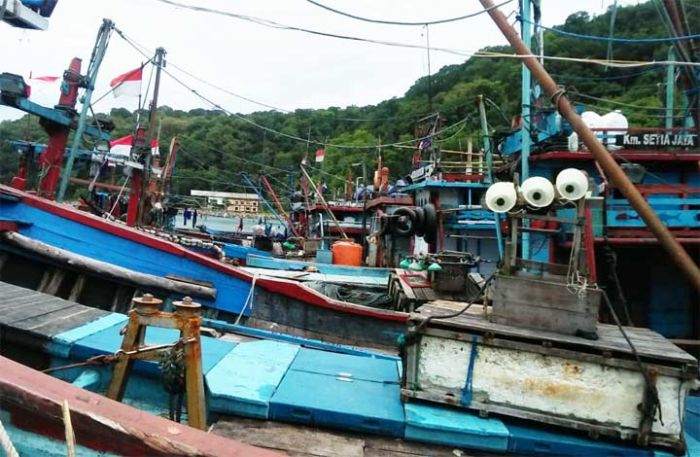 Produksi Ikan di Pacitan Merosot, Banyak Pedagang Pilih Produksi Ikan di Pacitan Merosot, Banyak Pedagang Pilih